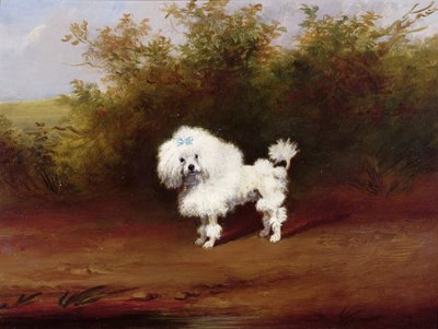 Un barboncino in un paesaggio da Frederick French